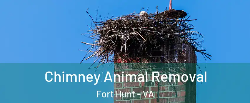  Chimney Animal Removal Fort Hunt - VA