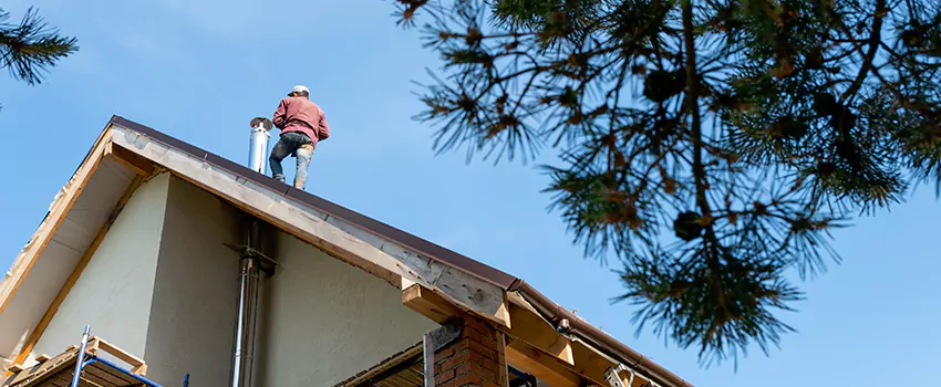 Birds Removal Contractors from Chimney in Fort Hunt, VA